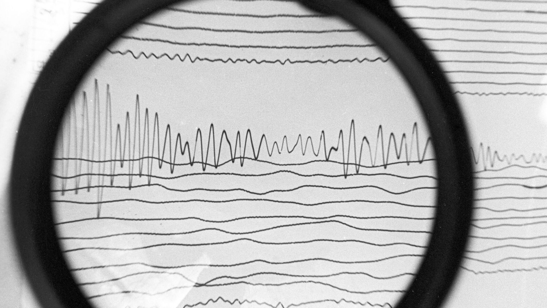 Сейсмограмма землетрясения, архивное фото - Sputnik Тоҷикистон, 1920, 23.02.2023