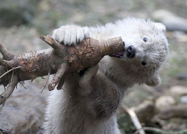 Какой сегодня праздник в Таджикистане и мире: 13 декабря - Sputnik Таджикистан