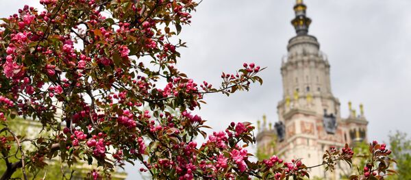 Цветение яблоневых деревьев около МГУ в Москве - Sputnik Таджикистан