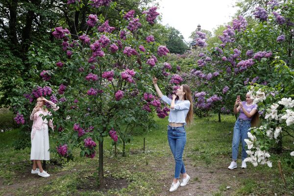 Девушки у цветущей сирени в парке в Киеве, Украина  - Sputnik Таджикистан