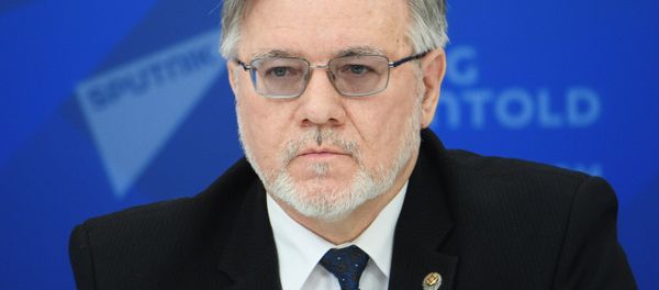 Директор Института Дальнего Востока Российской академии наук (ИДВ РАН) Сергей Лузянин  - Sputnik Таджикистан