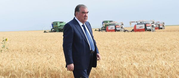 Президент Республики Таджикистан Эмомали Рахмон - Sputnik Тоҷикистон