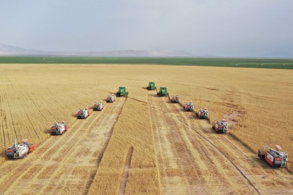 Какой сегодня праздник в Таджикистане и мире: 26 июля Какой сегодня праздник в Таджикистане и мире: 26 июля - Sputnik Таджикистан