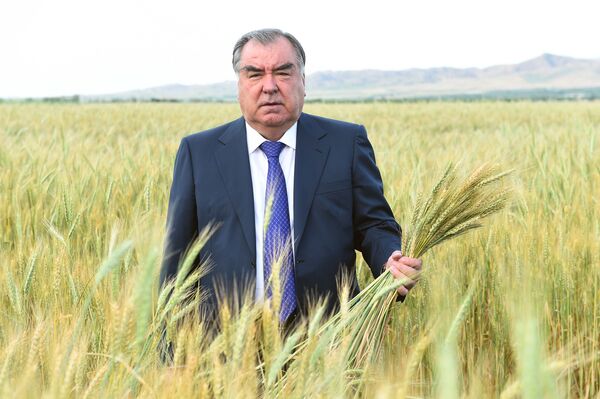 Какой сегодня праздник в Таджикистане и мире: 15 июля Какой сегодня праздник в Таджикистане и мире: 15 июля - Sputnik Таджикистан
