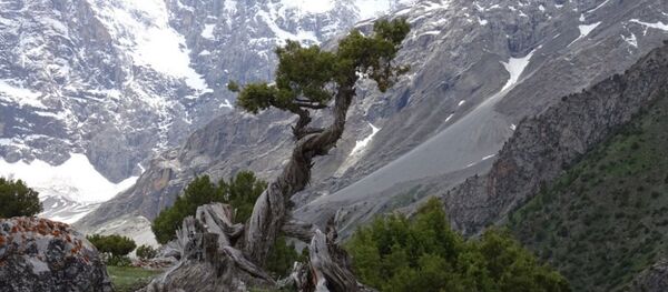 Арчазори Тоҷикистон - Sputnik Тоҷикистон