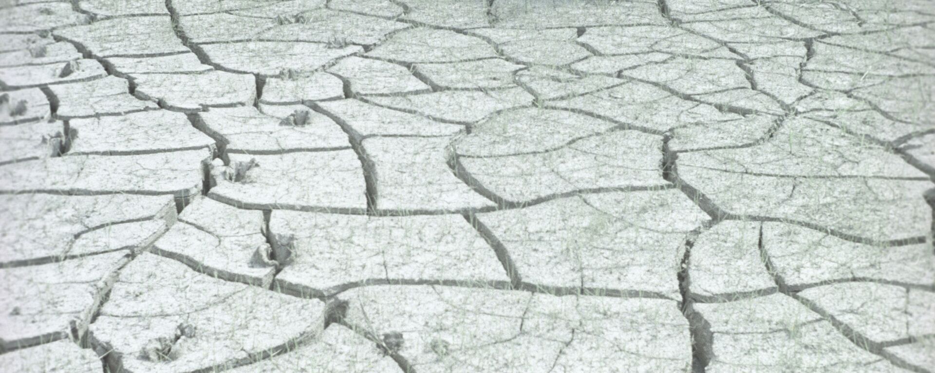 Засуха в Вахшской долине. Таджикская ССР, архивное фото - Sputnik Тоҷикистон, 1920, 31.07.2023