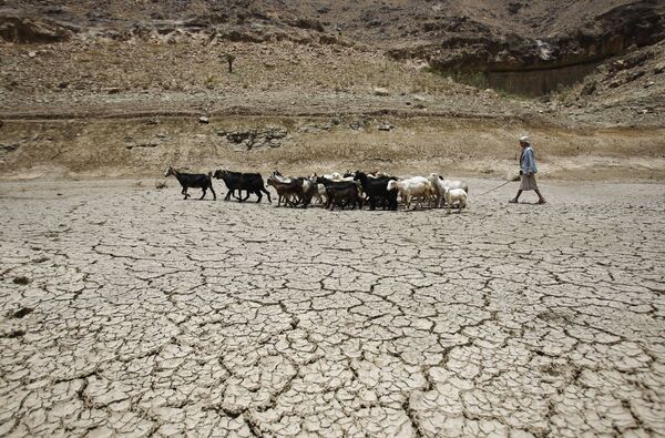 Пастух ведет стадо коз через плотину, пострадавшую от засухи, на окраине города Сана, Йемен - Sputnik Таджикистан