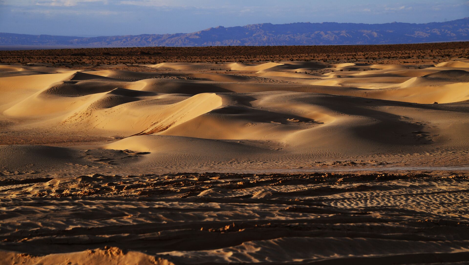 Пустыня в окрестностях озера Шотт-Эль-Джерид в Тунисе - Sputnik Таджикистан, 1920, 01.02.2021
