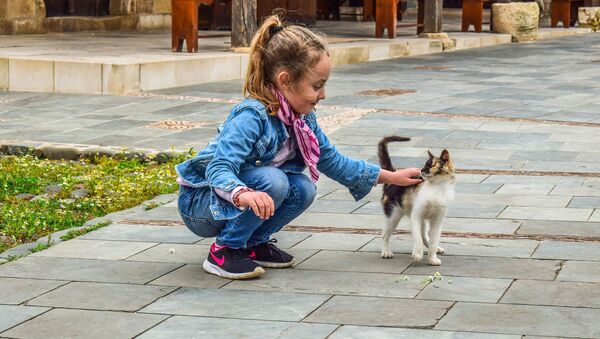 Девочка играет с кошкой - Sputnik Таджикистан