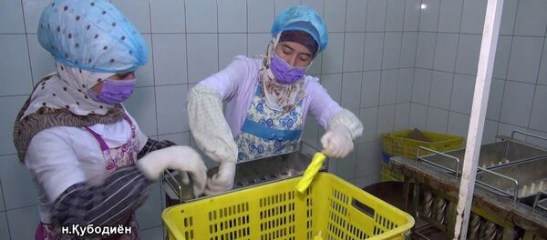 Боздиди Раиси вилояти Хатлон Қурбон Ҳакимзода аз корхонаи истеҳсоли яхмос дар Қубодиён, 18.06.2020 - YouTube - Sputnik Таджикистан