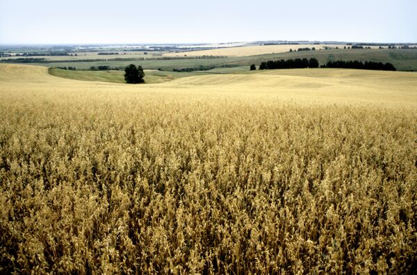 Какой сегодня праздник в Таджикистане и мире: 28 июня - Sputnik Таджикистан