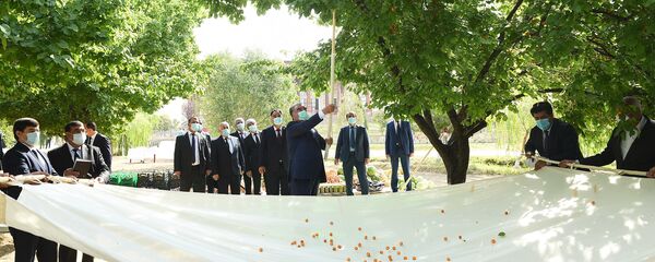 Президент Республики Таджикистан Эмомали Рахмон - Sputnik Тоҷикистон