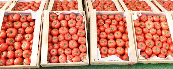 Помидоры на выставке в Худжанде - Sputnik Таджикистан