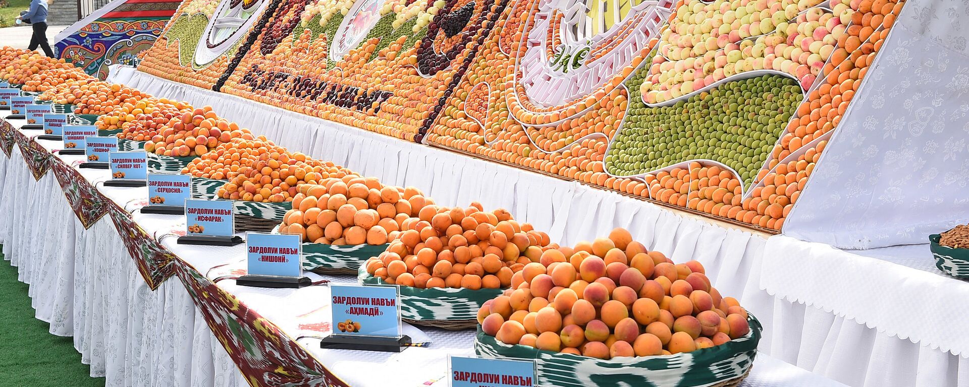 Урожай фруктов на выставке в Худжанде - Sputnik Таджикистан, 1920, 12.10.2021